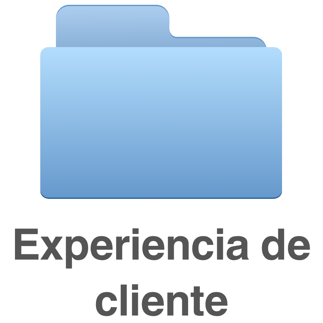 Experiencia de cliente